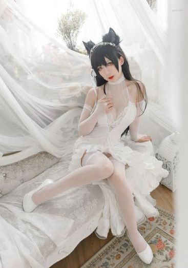 高嫁柳嫁家动画第三季评价