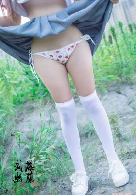 新手驾到综艺免费观看完整版