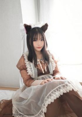 三分野电视剧免费观看全集