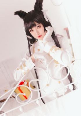 功夫联盟