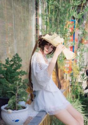 坠落女律师伦理973