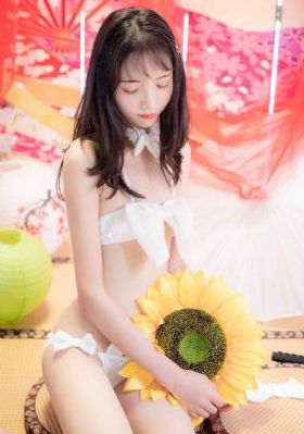 电视剧在线观看全集免费完整版