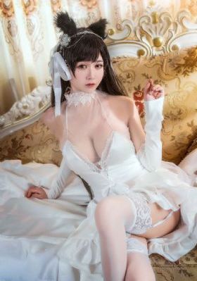 斗破苍穹动漫免费看